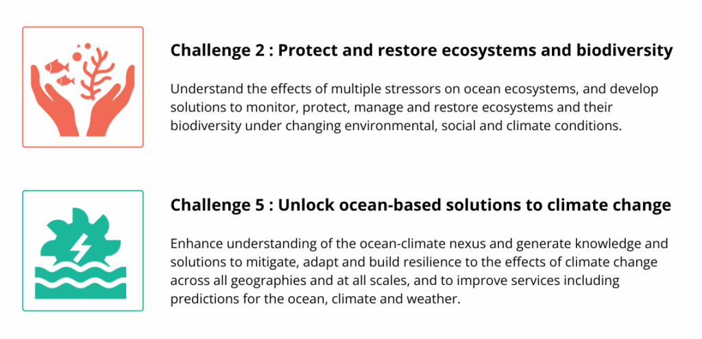 The UN Ocean Decade challenges we are tackling. 